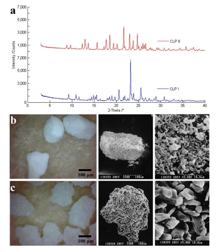 22.png Polymorph PXRD and morphology of CLP I and CLP II
